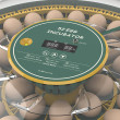 Automatická líheň na drůbež AGROFORTEL 52H – pro 52 vajec