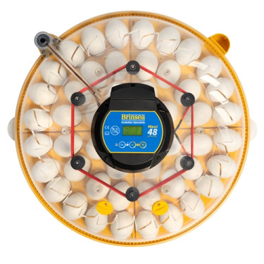BRINSEA Maxi 48 Advance - automatická líheň pro slepice a husy