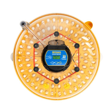 BRINSEA Maxi 48 Zoologica - specializovaná líheň pro papoušky a exotické ptactvo