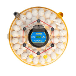 BRINSEA Maxi 48 EX Connect - chytrá líheň pro slepice, křepelky i husy