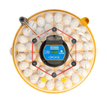 BRINSEA Maxi 48 EX Connect - chytrá líheň pro slepice, křepelky i husy