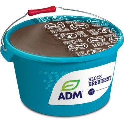 MINERÁLNÍ MELASOVANÝ LIZ BLOCK BLOCK BREBIGEST - Příprava ovcí na bahnění