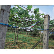 Pákový lanový naviják KERBL 37117 HAND POWER PULLER 3 m / 1250 kg