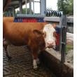 Drbadlo pro skot Euro Farm s pružinou