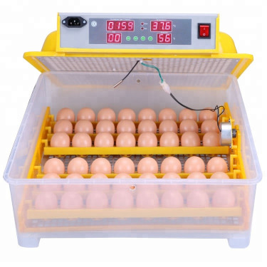 Automatická digitální líheň WQ-48 s dolíhní a vlhkoměrem. Pro 48 vajec.