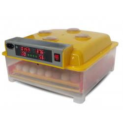 Automatická digitální líheň WQ-56. Pro 56 vajec.