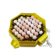 Automatická líheň na vejce CLEO 5x2 DTH AUTOMATIC