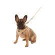 Postroj pro štěňata a malé psy Puppy