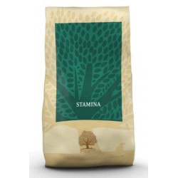 Essential Stamina 10kg