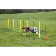 Kerbl agility překážky pro psy, sada