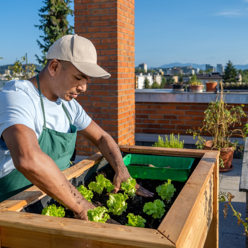 Střešní farmy: moderní způsob pěstování ve městech
